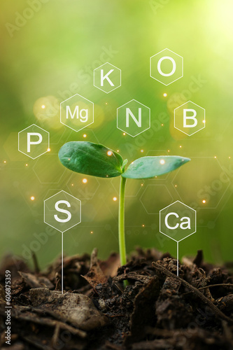 Canvas Print agriculture concept, suitability growing plants,sunlight, temperature,humidity,ph,smart farming using modern technology in farming