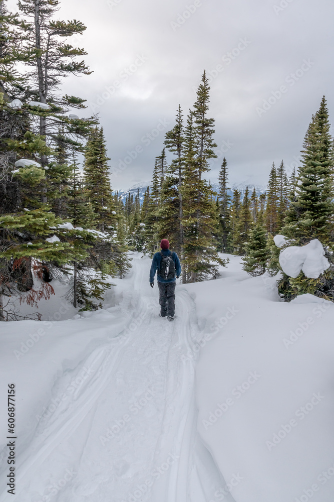 Man hiking through winter landscape in northern Canada with surrounding spruce trees, snow capped mountains in background. 