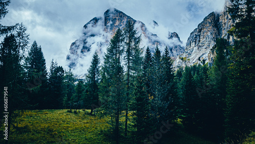 A dark mountain in the clouds. Mountain landscape in the Dolomites in the fog. Forest in the Dolomites.