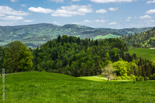 Pieniny National Park in Carpathian Mountains in Poland at summer day