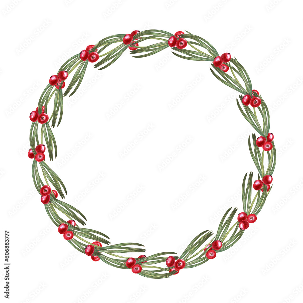Watercolor wreath of pine needles, red cowberries isolated on transparent background. Botanical illustration for postcard design, invitation template, wedding, Christmas and New Year cards Watercolor wreath of pine needles, red cowberries isolated on transparent background. Botanical illustration for postcard design, invitation template, wedding, Christmas and New Year cards