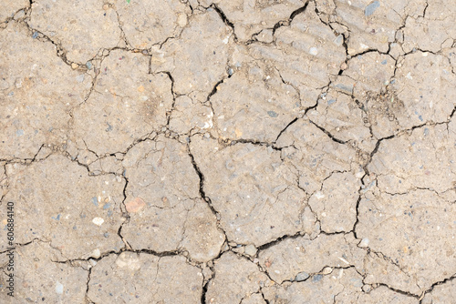  Texture of a dry and cracked land