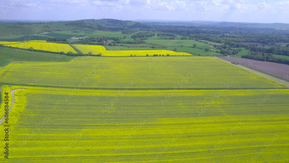 Flying across beautiful rapeseed field in summer, aerial view Flying across beautiful rapeseed field in summer, aerial view