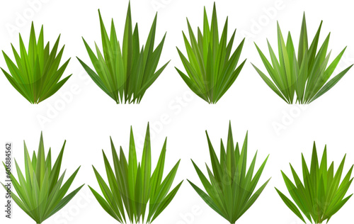 Green grass vector border on white or transparent background. Field or lawn isolated meadow turf. Realistic yard summer footer