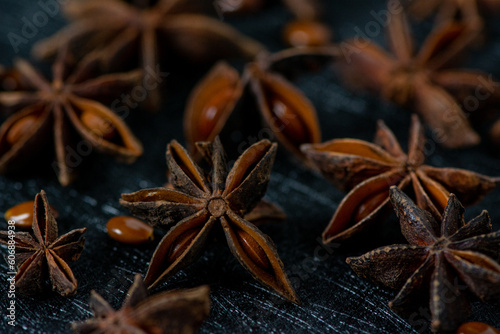 Star Anise plant on a black background