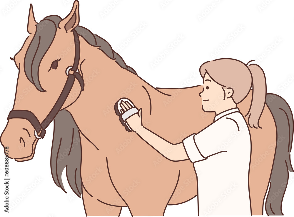 Φωτογραφία Woman rider takes care of thoroughbred horse by combing animal mane before impor