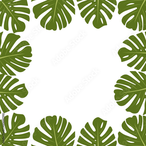 Green frame with monstera leaves