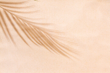 Beach sand with shadow of palm leaf - minimal background