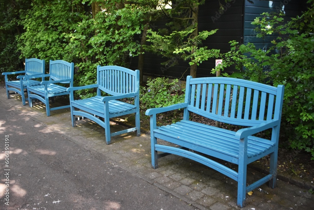 Blue wooden benches in the garden on a sunny summer day. A place for rest and relaxation.