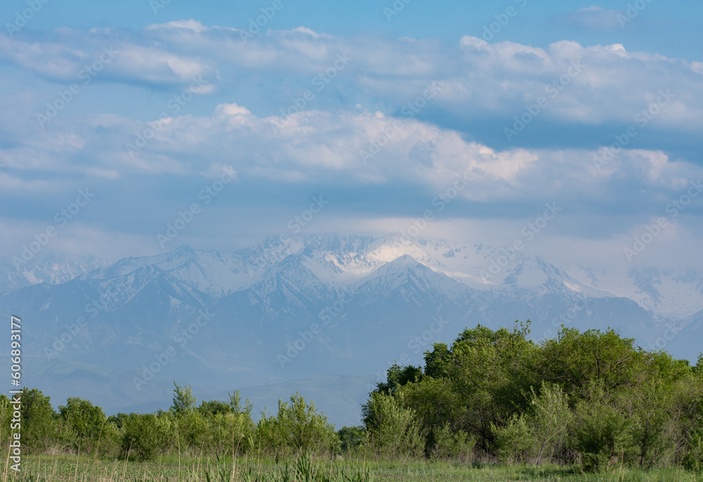 Fototapeta premium green trees against the background of snow-capped mountains and blue sky