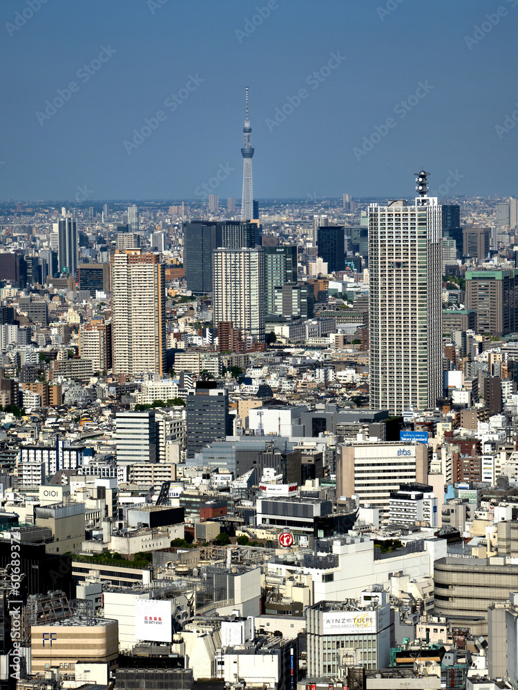 Fototapeta premium 新宿の高層ビルからの展望 東京都