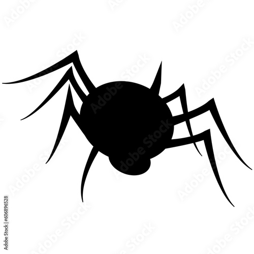 Spider in silhouette