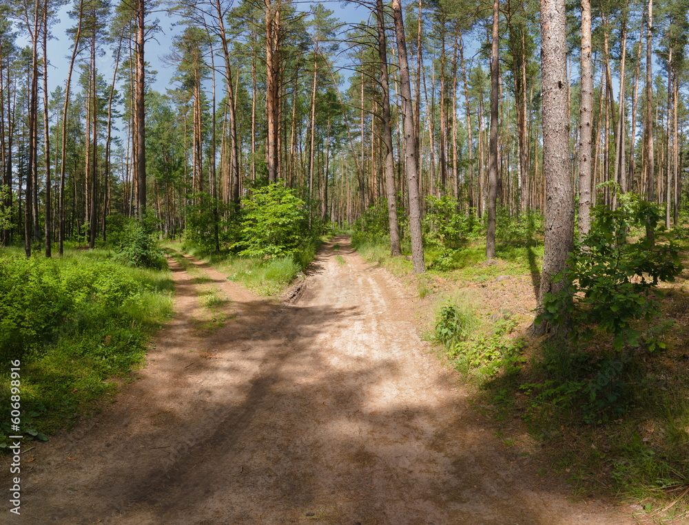 Obraz premium Beautiful rural road in the countryside, day landscape