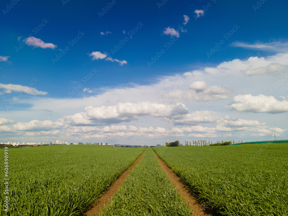 Beautiful rural road in the countryside, day landscape Beautiful rural road in the countryside, day landscape
