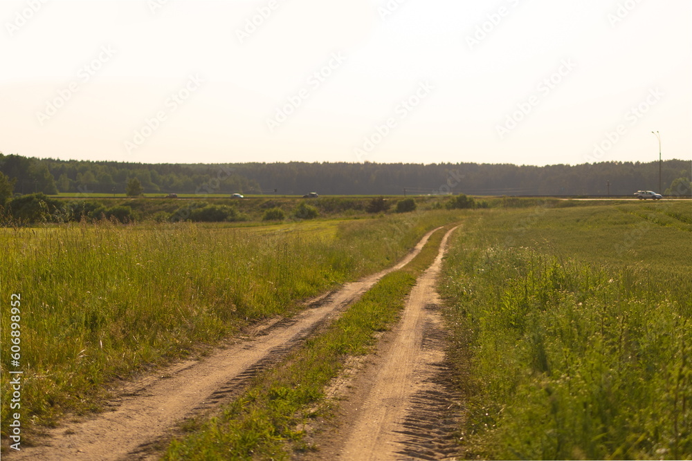 Beautiful rural road in the countryside, day landscape