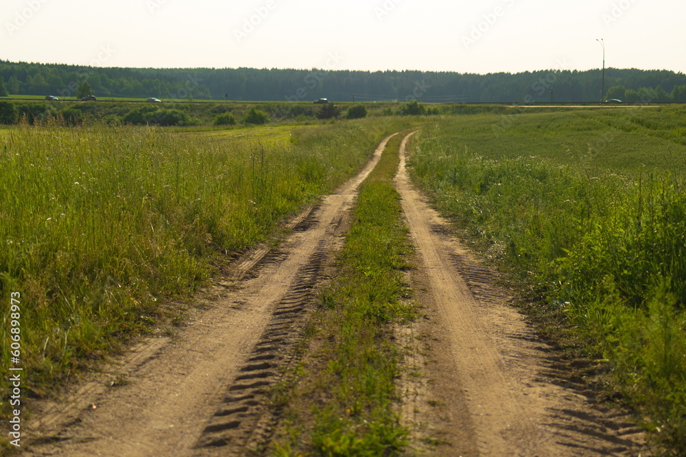 Fototapeta premium Beautiful rural road in the countryside, day landscape