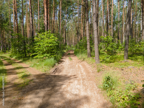 Beautiful rural road in the countryside, day landscape © Kozlik_mozlik