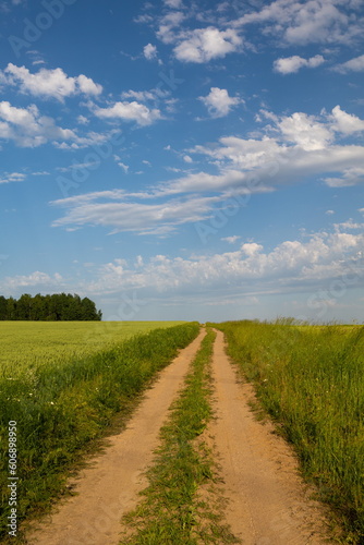 Beautiful rural road in the countryside  day landscape