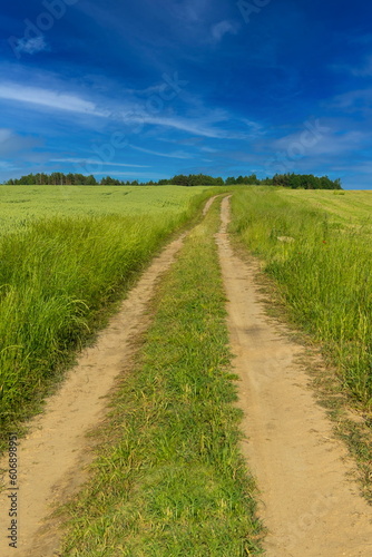 Beautiful rural road in the countryside, day landscape