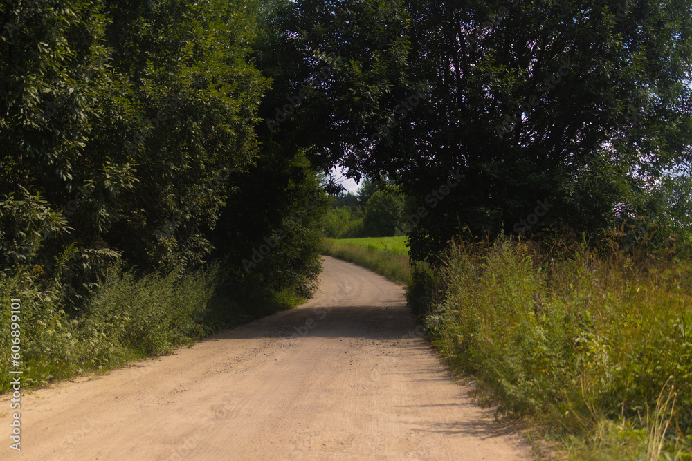 Beautiful rural road in the countryside, day landscape Beautiful rural road in the countryside, day landscape