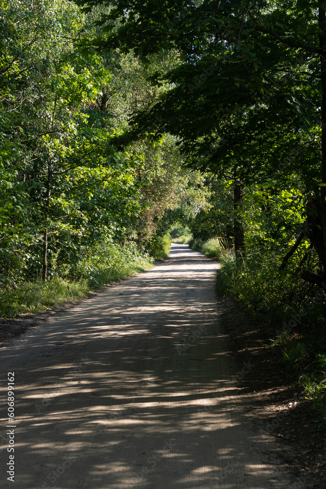 Beautiful rural road in the countryside, day landscape Beautiful rural road in the countryside, day landscape