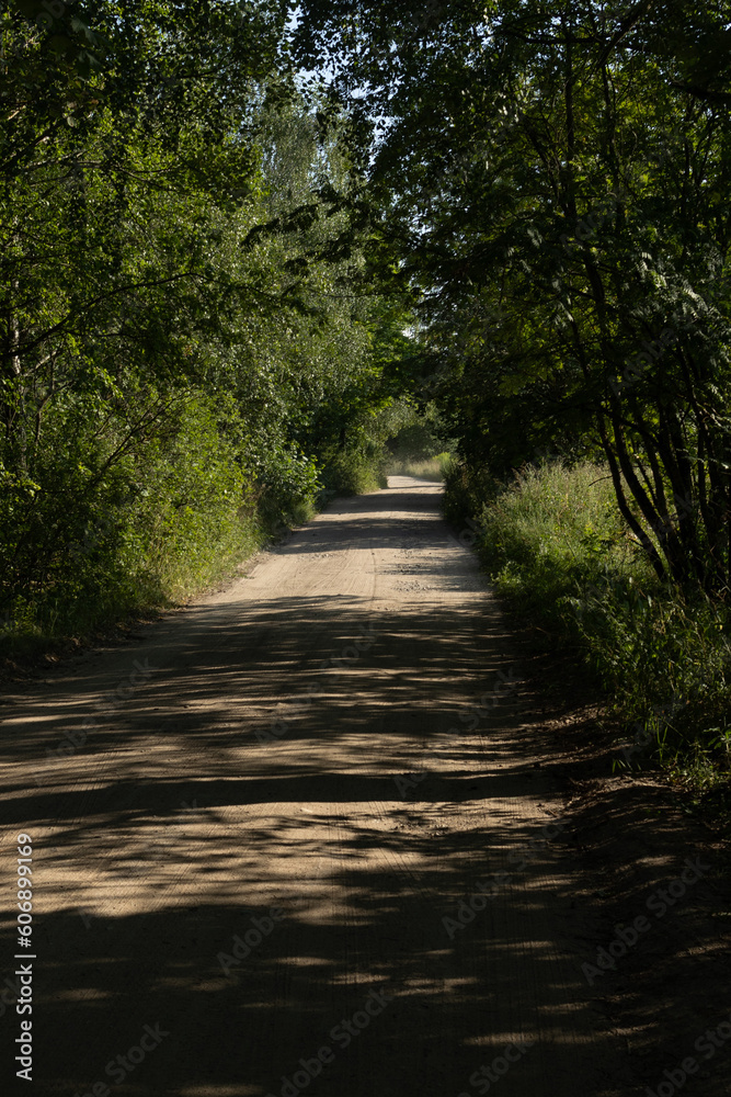 Beautiful rural road in the countryside, day landscape Beautiful rural road in the countryside, day landscape