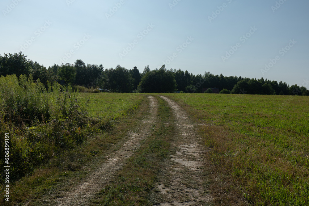 Beautiful rural road in the countryside, day landscape