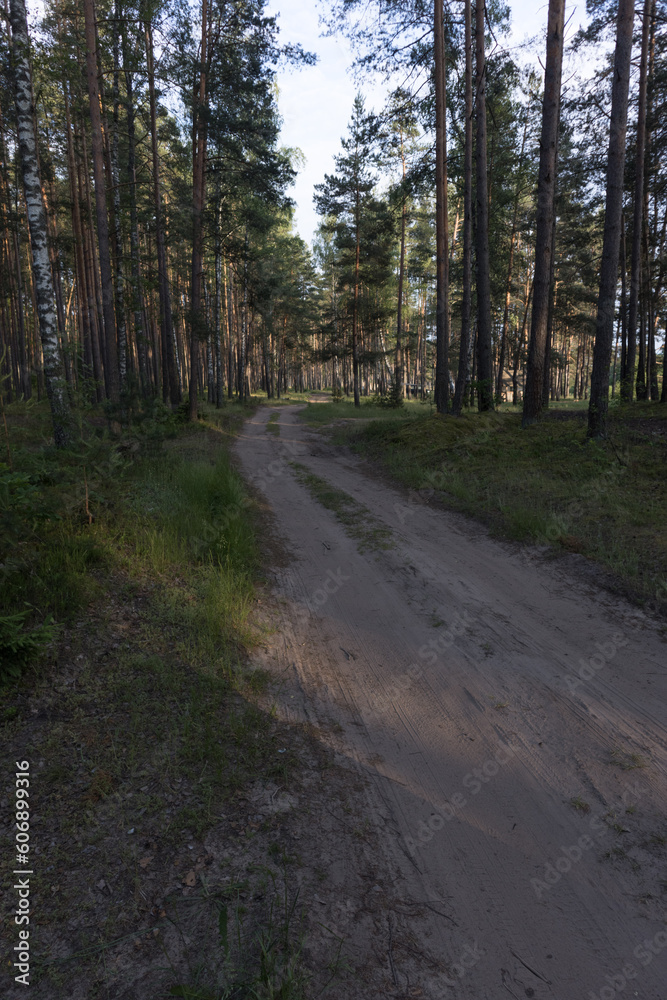 Beautiful rural road in the countryside, day landscape