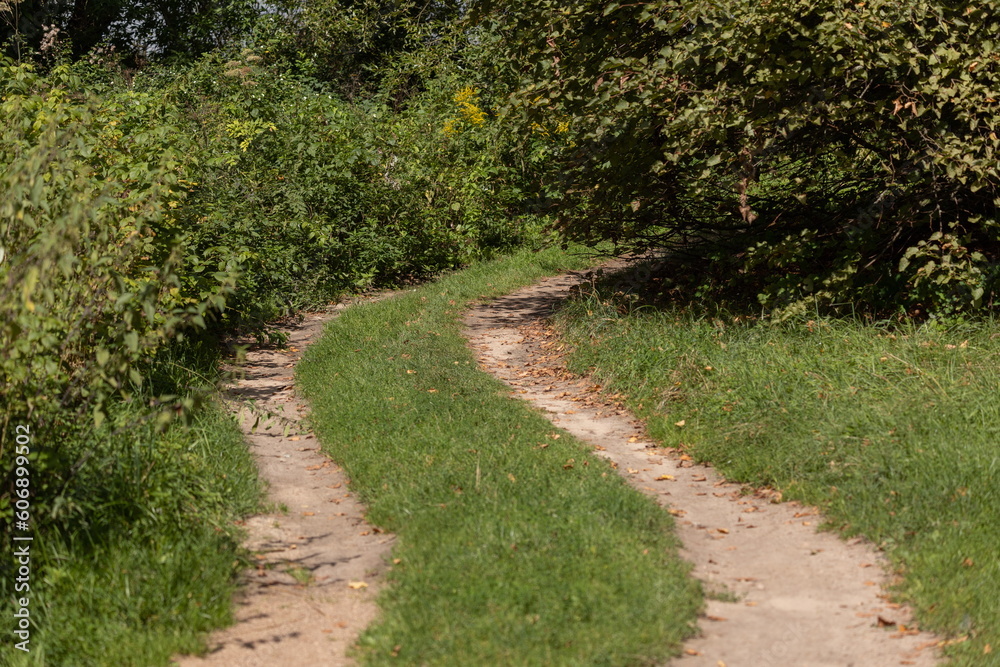 Beautiful rural road in the countryside, day landscape Beautiful rural road in the countryside, day landscape