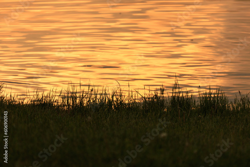 Evening landscape  sunrise or sunset on the lake or the sea