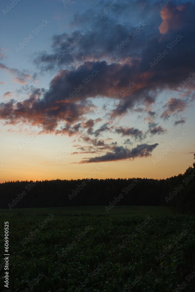 Summer landscape, Sun and sunbeams, sunset sky Summer landscape, Sun and sunbeams, sunset sky