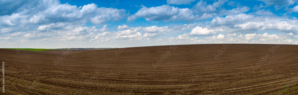 panorama of plowed field and sky, black arable land, agriculture