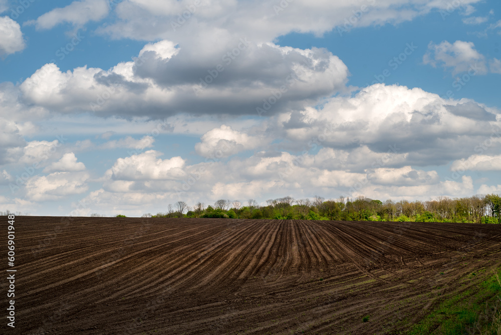 plowed field with lines and beautiful sky with clouds, black arable land, agriculture