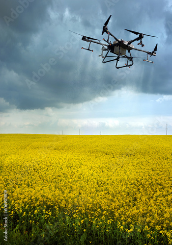 A drone sprays a yellow field of rape against pests in a cloudy sky, Applicat...