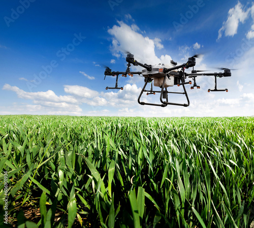 A sprayer drone flies over a wheatfield. Smart farming © pavlobaliukh