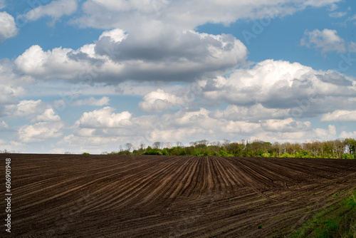plowed field with lines and beautiful sky with clouds, black arable land, agr...