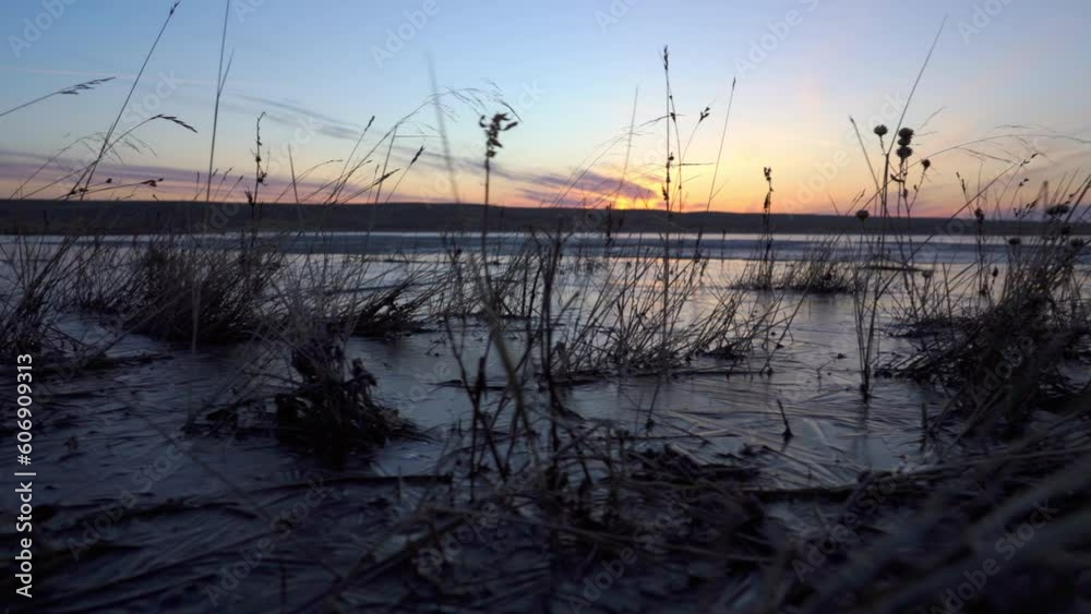 Rising sun reflects off pond ice through dolly of spring prairie grass Rising sun reflects off pond ice through dolly of spring prairie grass