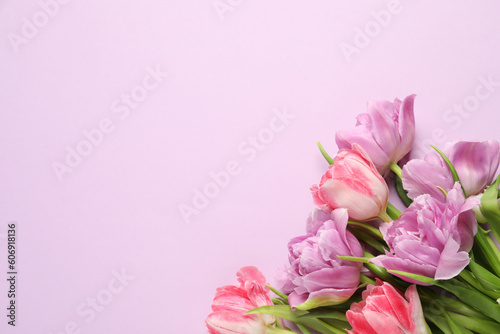 Beautiful colorful tulip flowers on violet background, top view. Space for text © New Africa