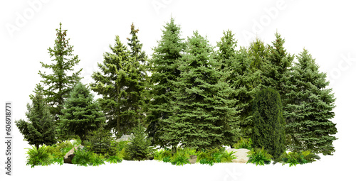 Different green trees and plants on white background