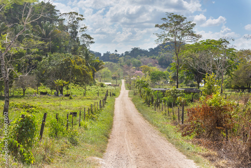 Road in Belize photo
