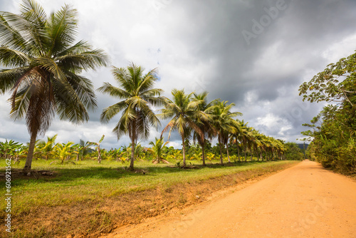 Road in Belize © Galyna Andrushko
