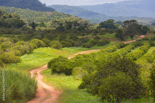 Road in Belize photo