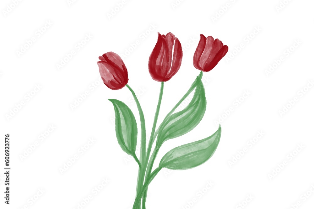 Water Color Flower Water Color Flower