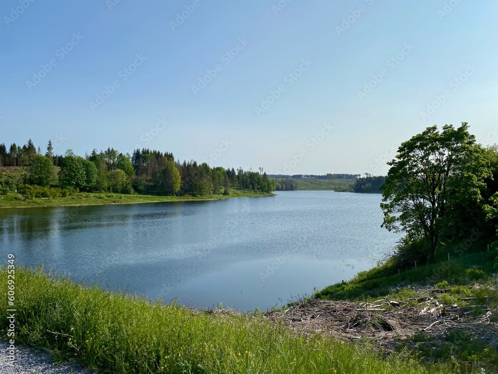 Fototapeta premium Die Mandelholztalsperre (auch: Hochwasserschutzbecken Kalte Bode) zwischen den Orten Elend und Könisgütte