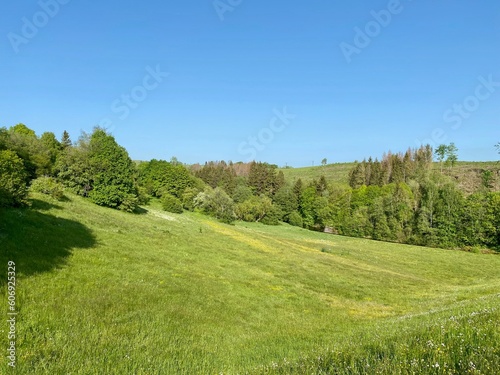 Landschaft bei der Mandelholztalsperre im Harz