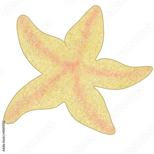 watercolor starfish Underwater world Summer sea beach cliparts illustration