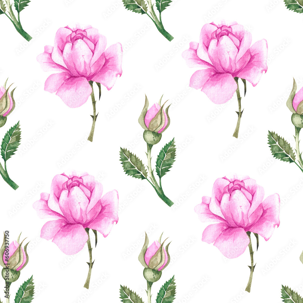 Watercolor pattern with pink roses on white background