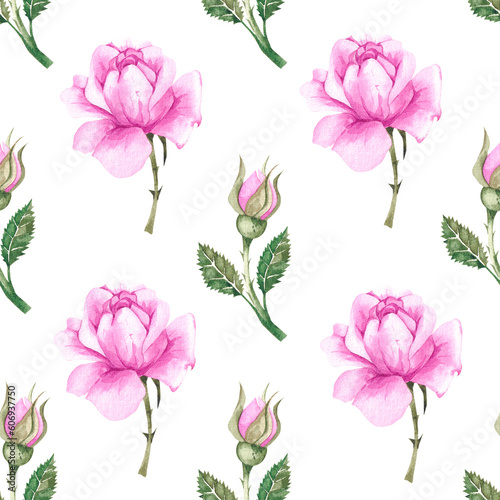 Watercolor pattern with pink roses on white background