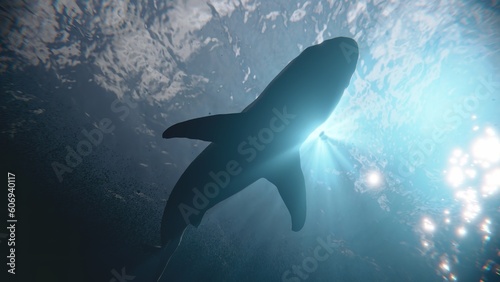 The shark swimming silhouette underwater.