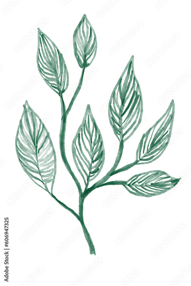 set of green leaves set of green leaves